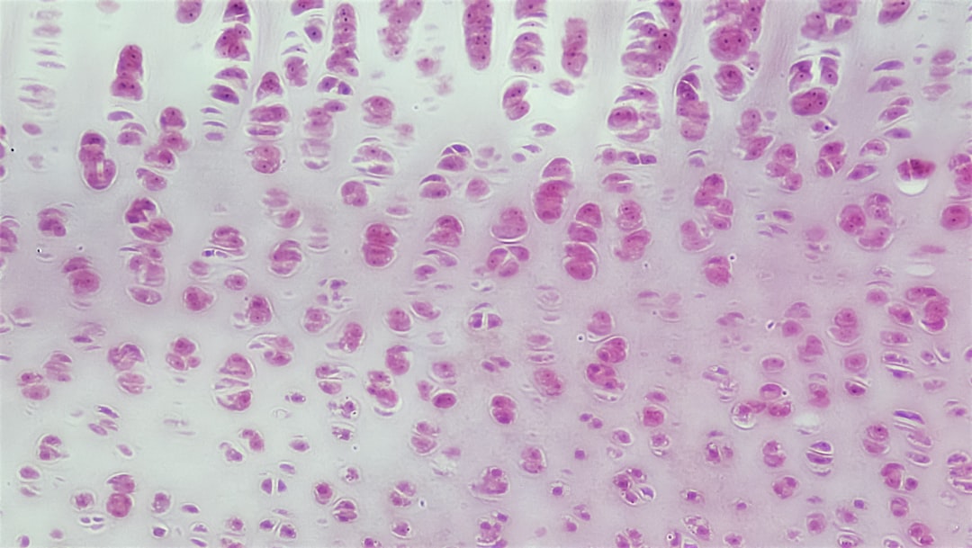 Services connective-tissue-developing-hyaline-cartilage-aczj5r7jxiy